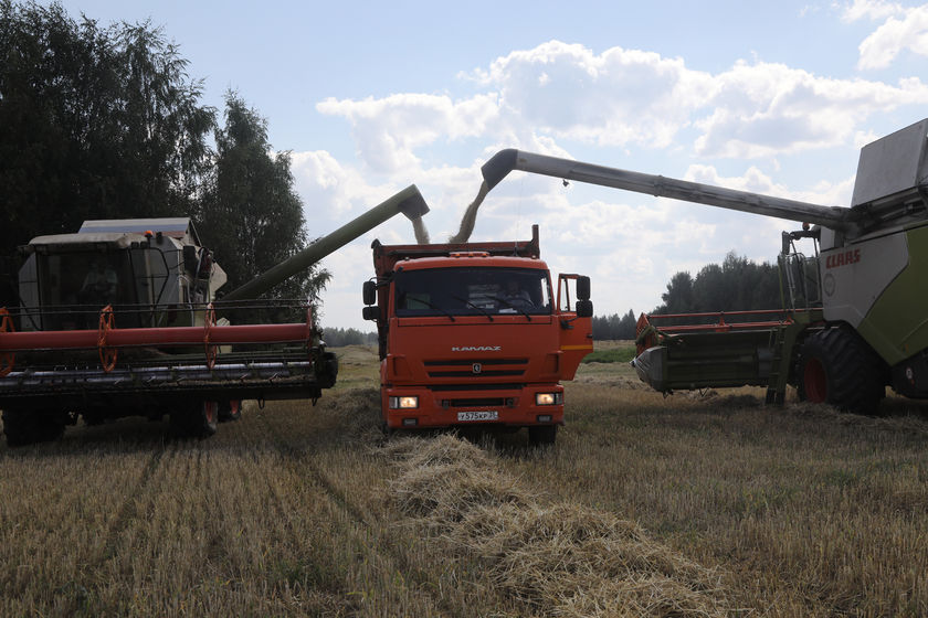  В Вологодской области подходят к завершению кормозаготовка и уборка урожая