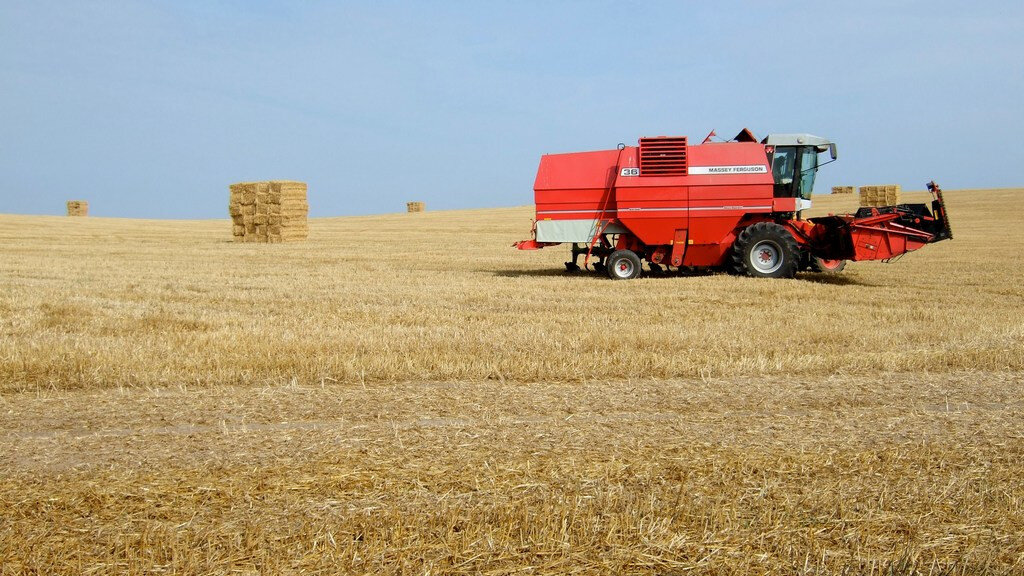  Липецкие сельхозпроизводители намолотили первый миллион тонн зерна