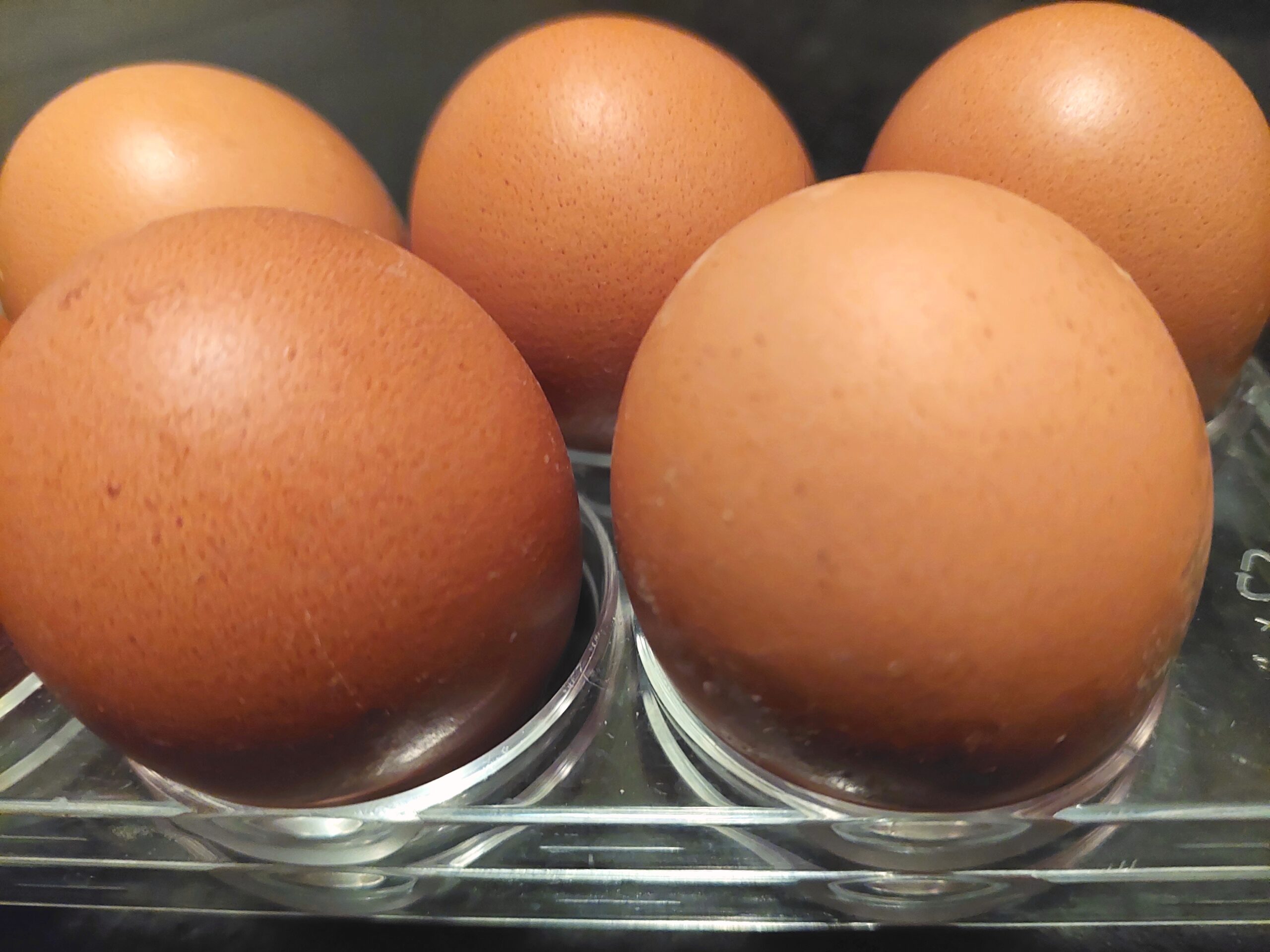  Птицеводы Костромской области увеличат производство яиц