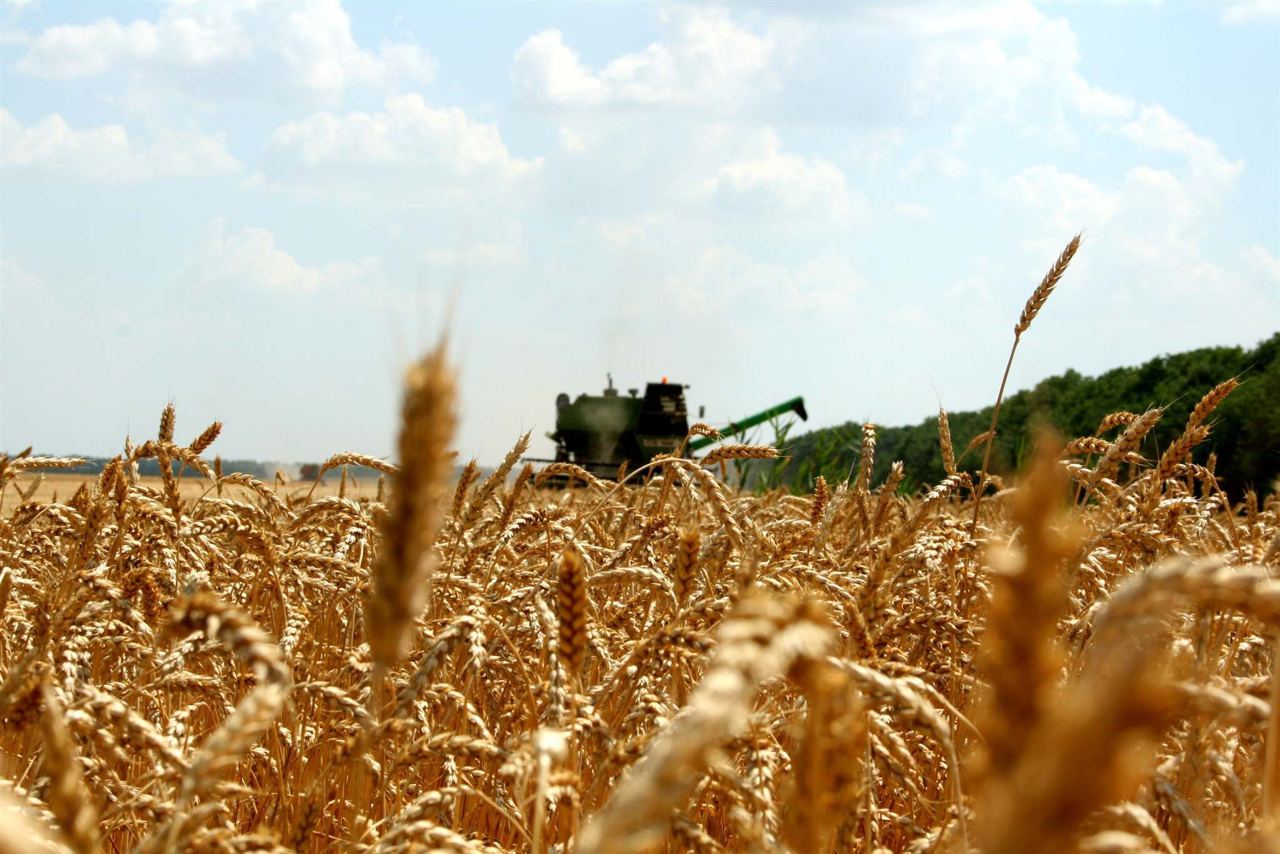  В Нижегородской области уже собрано более 1,5 миллионов тонн зерна