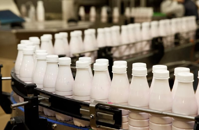  В 2022 году производство молока в Сахалинской области выросло на 9%