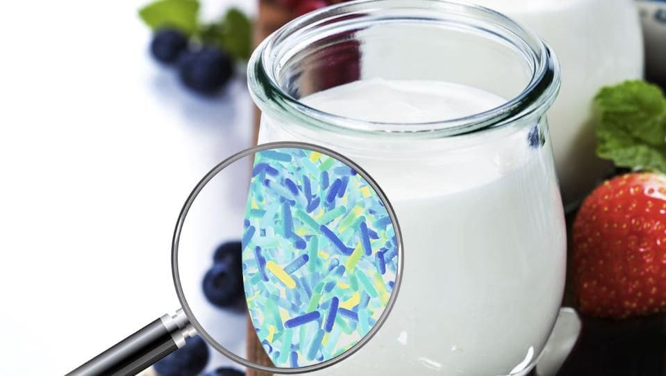  Оценка эффективности и оптимизация процесса ферментации овсяного напитка молочнокислыми микроорганизмами