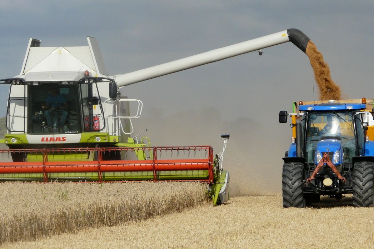  Нижегородским производителям зерна выделят из бюджета РФ 128,6 млн рублей