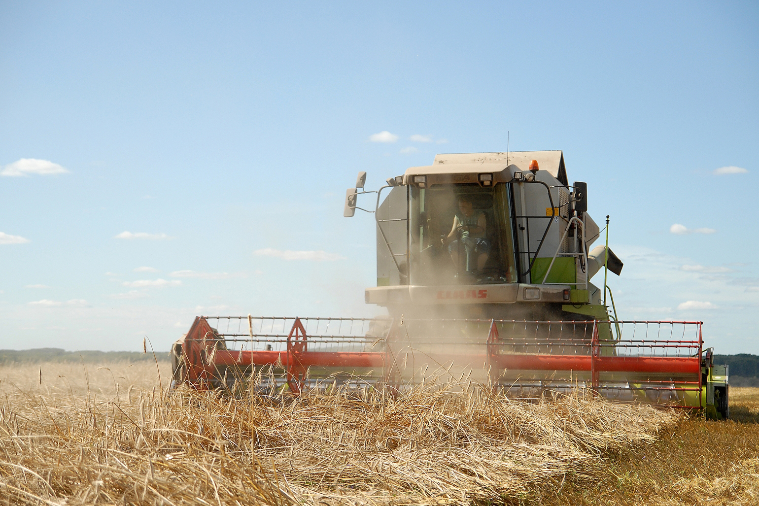 Аграрии Кировской области приступили к уборке зерновых
