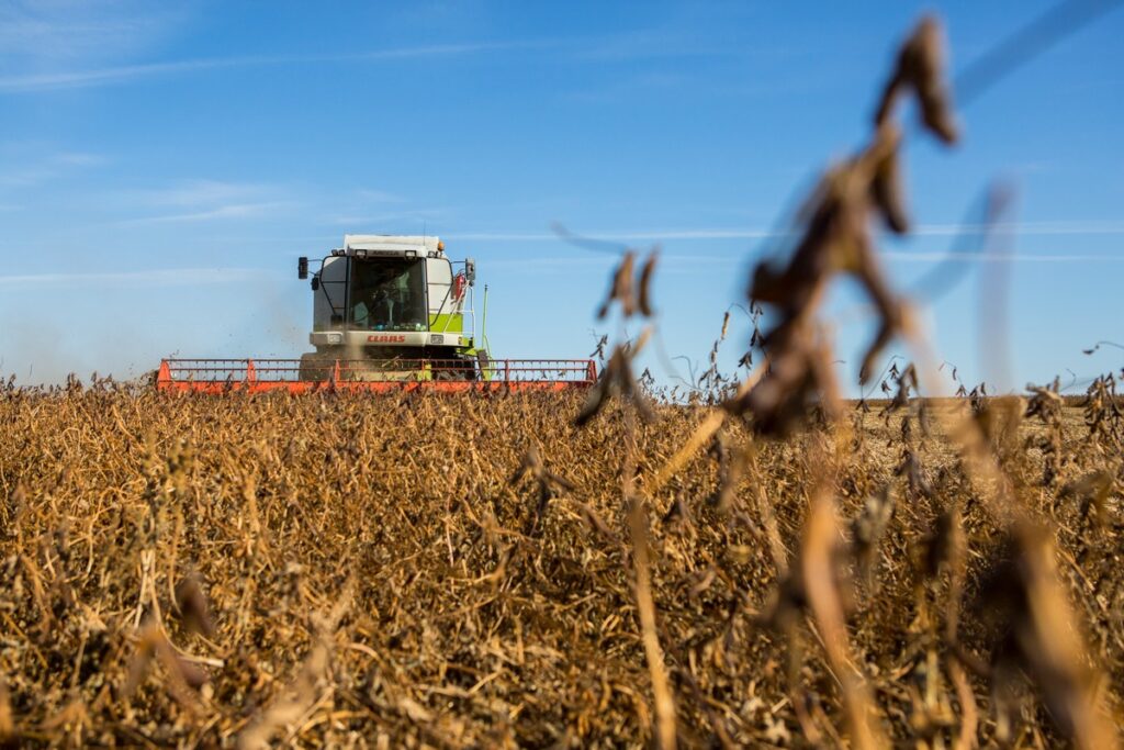 Сельскохозяйственное производство в ДФО растет опережающими темпами