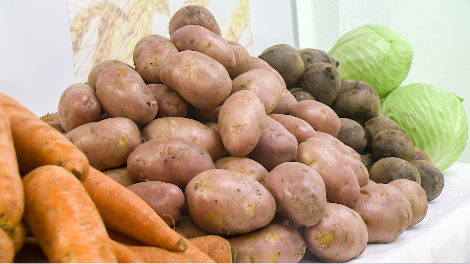  Пензенские аграрии получат более 11 млн рублей на стимулирование производства овощей и картофеля