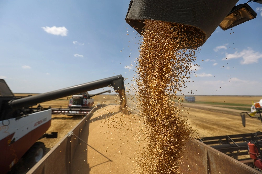  В текущем сельхозгоду Россия может экспортировать до 70 млн т зерна