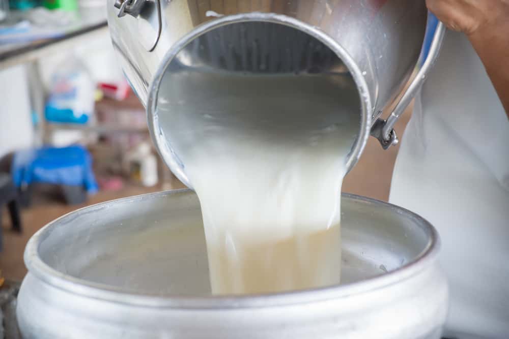  Иркутская область увеличила объемы производства сырого молока