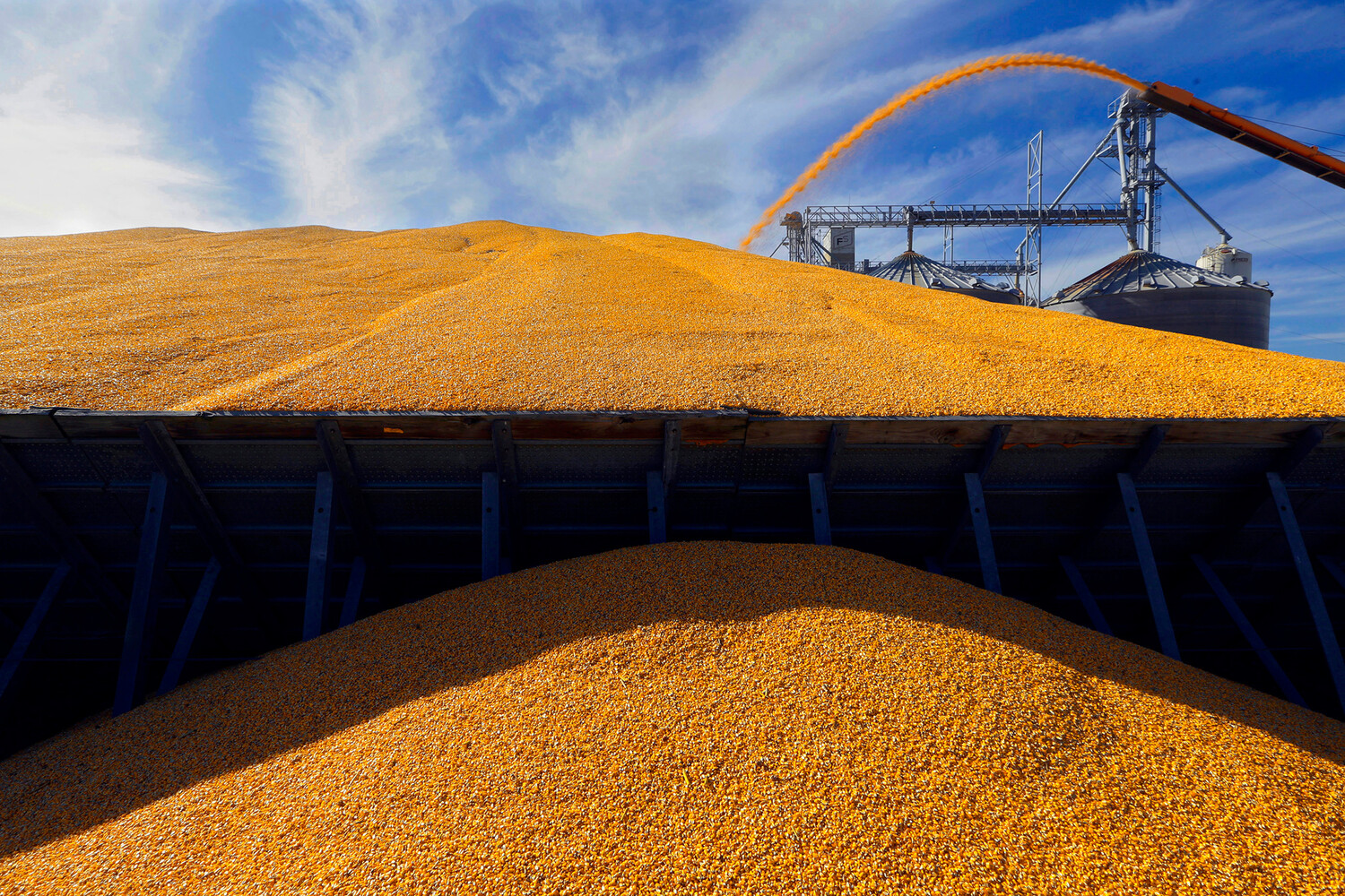  В первом квартале Россия поставила в КНР зерно на 125 миллионов долларов