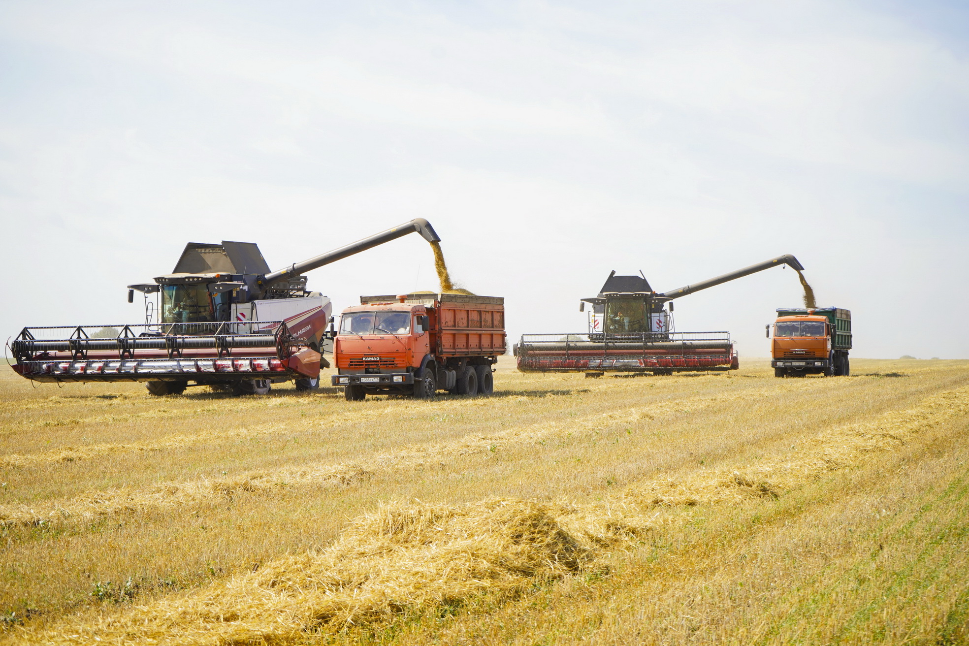  До аграриев Ивановской области доведено более 80% федеральных субсидий