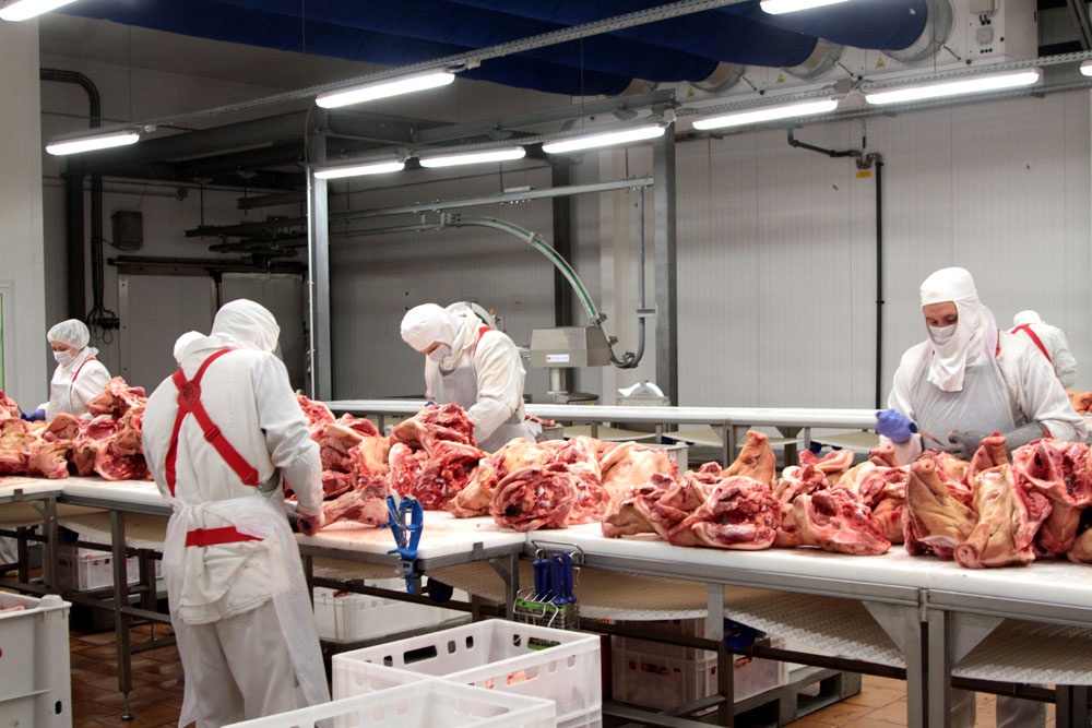 Ленинградская область наращивает объемы производства мясной продукции