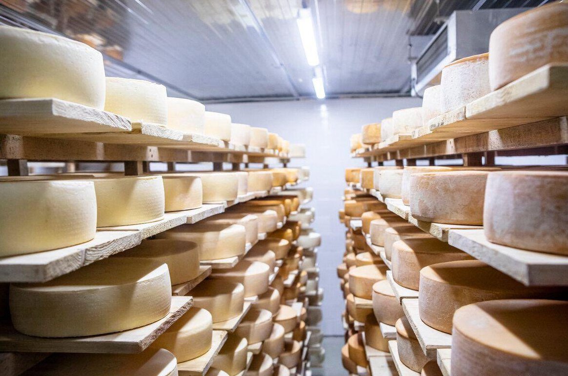  На 16,3% выросло производство сыров в РФ