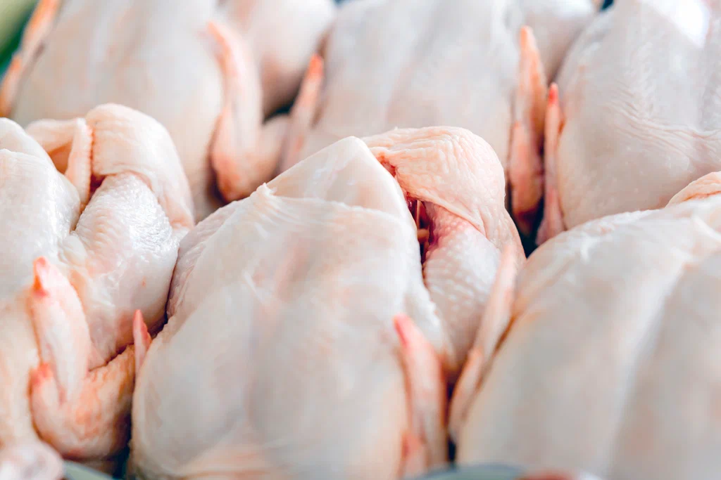  Вопреки санкциям предприятия Курской области отправят мясо птицы в 12 стран мира