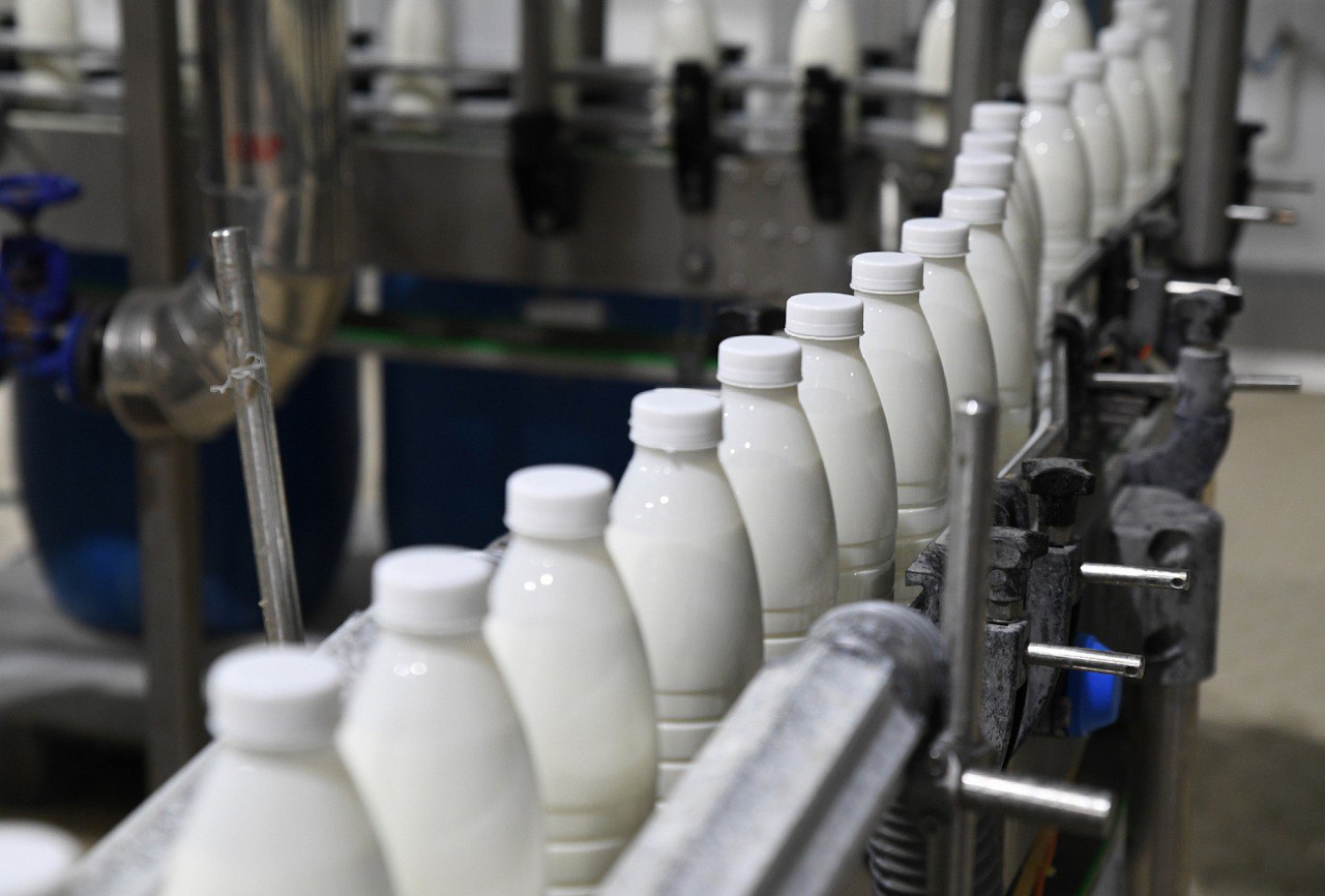  Эксперимент по партионному учету маркированной молочной продукции планируется провести в РФ с 1 июня 2024 года