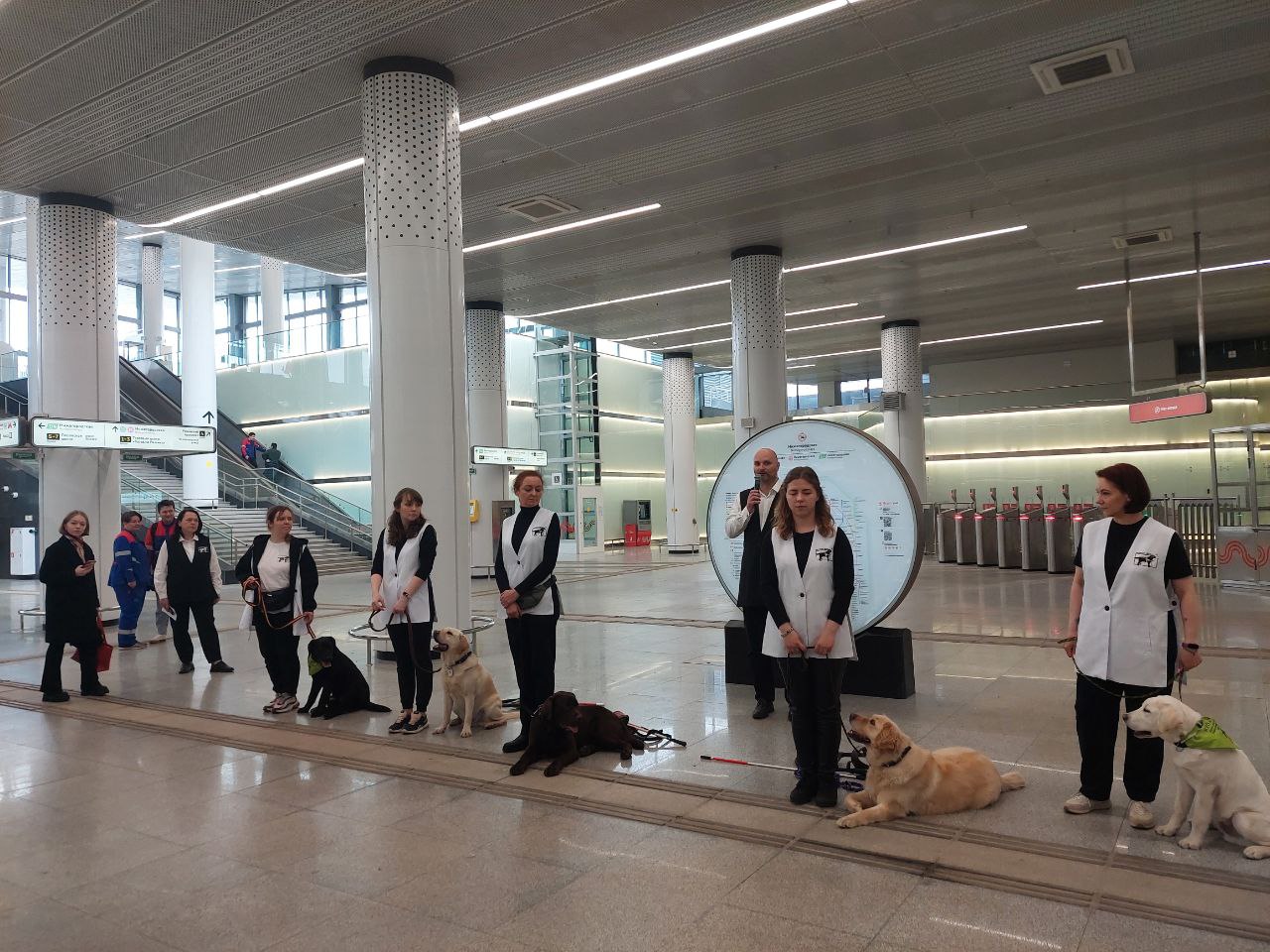  Показательное выступление собак-проводников, приуроченное ко Всемирному дню собак-поводырей, прошло в столичном метро