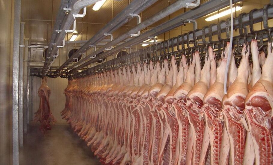  Китай с 24 января разрешил импорт свинины из России