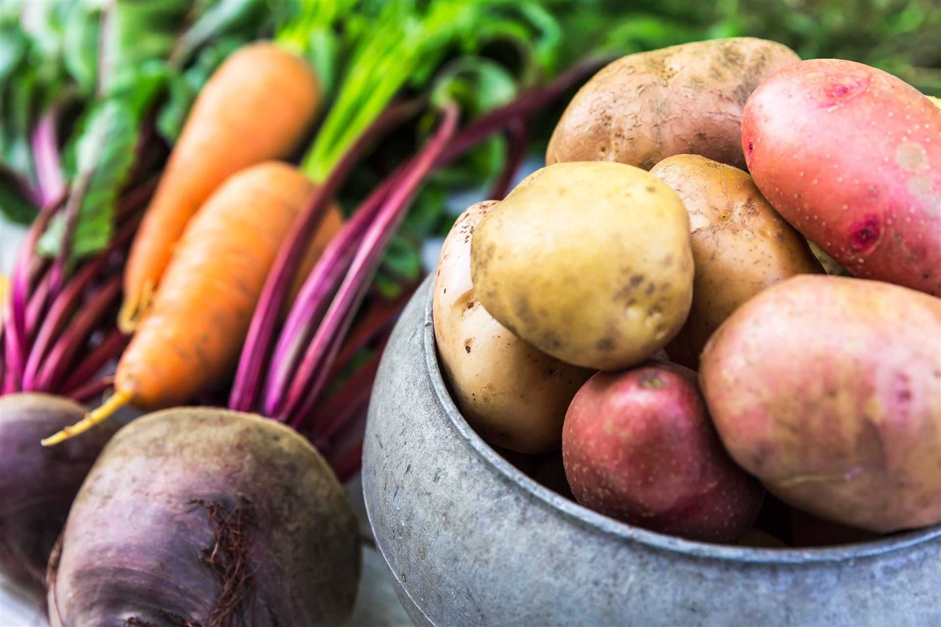 Картошка овощ или фрукт. Овощи картофель. Свекла и картофель. Картофель и корнеплоды. Картофель и морковь.