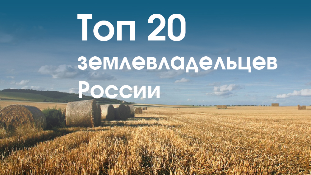  Топ-20 крупнейших владельцев сельхозземли в РФ на 2023 г., тыс. га