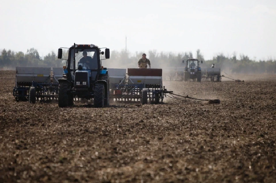  Ростовские аграрии засеяли озимыми 2,8 млн га и вышли на финишную прямую по уборке