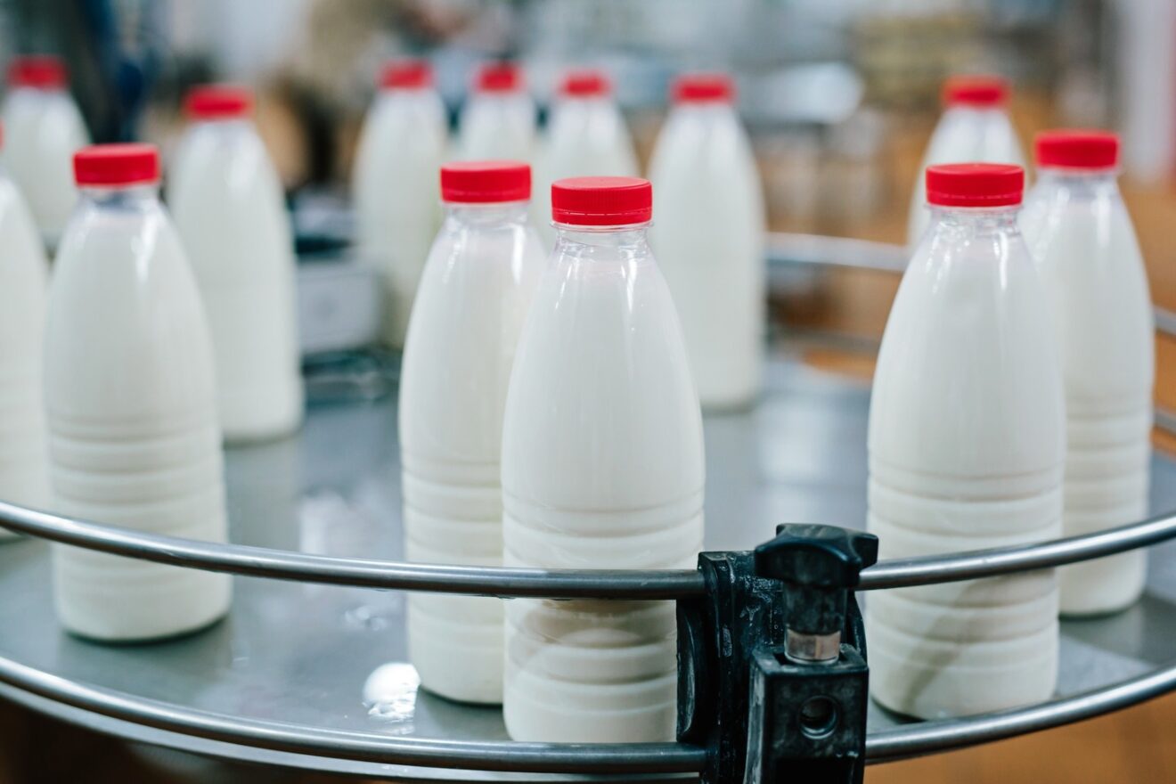 Запрет на ввоз молочной продукции