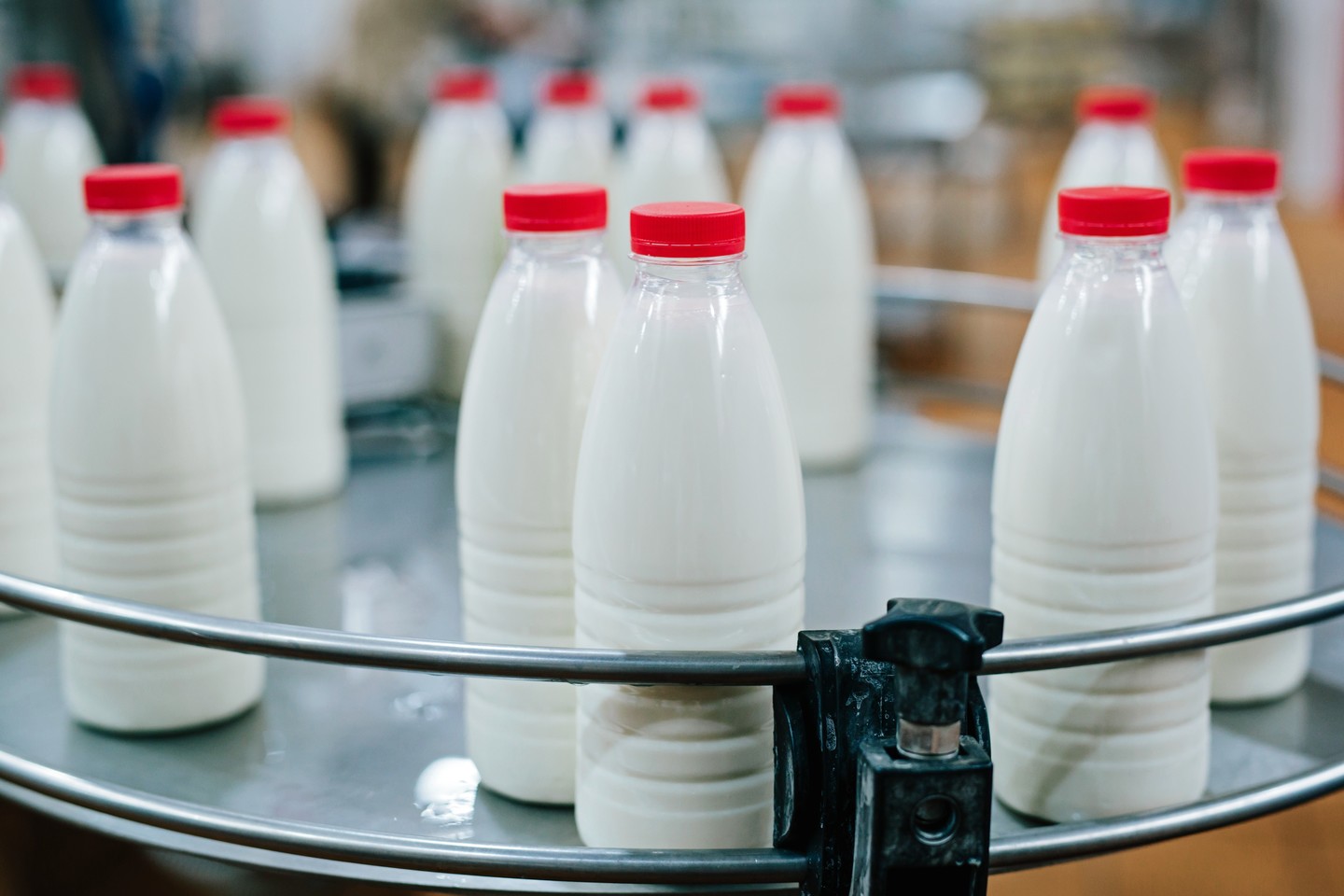  Ивановская область наращивает объемы производства молока