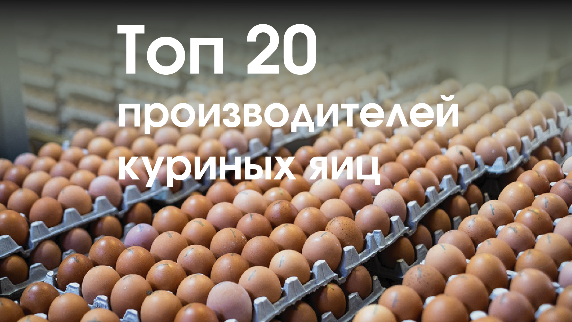  Топ-20 производителей куриных яиц в 2022 г. Динамика производства, млн шт.
